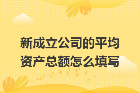 新成立公司的平均资产总额怎么填写