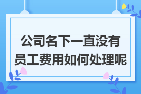 公司名下一直没有员工费用如何处理呢