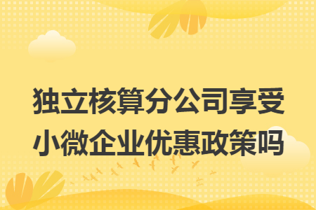 独立核算分公司享受小微企业优惠政策吗