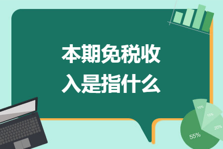本期免税收入是指什么