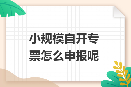 小规模自开专票怎么申报呢