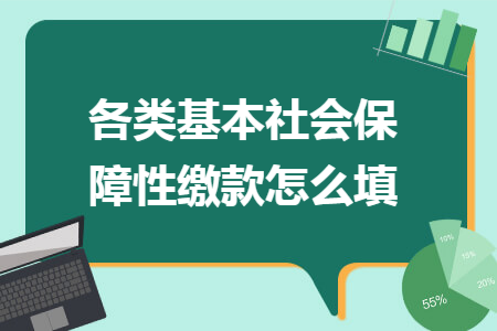 各类基本社会保障性缴款怎么填