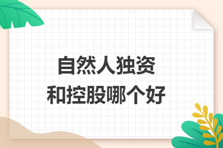 自然人独资和控股哪个好