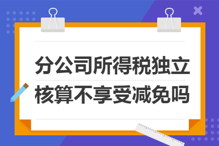 分公司所得税独立核算不享受减免吗