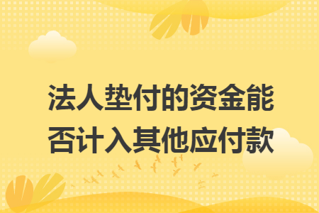 法人垫付的资金能否计入其他应付款