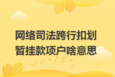 网络司法跨行扣划暂挂款项户啥意思