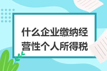 什么企业缴纳经营性个人所得税