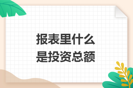 报表里什么是投资总额 报表里什么是投资总额