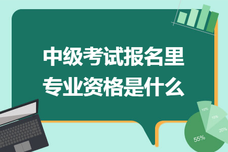 中级考试报名里专业资格是什么