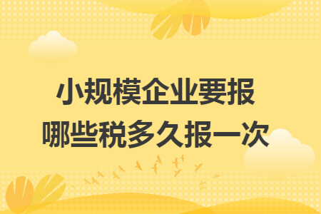 小规模企业要报哪些税多久报一次