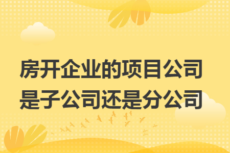 房开企业的项目公司是子公司还是分公司