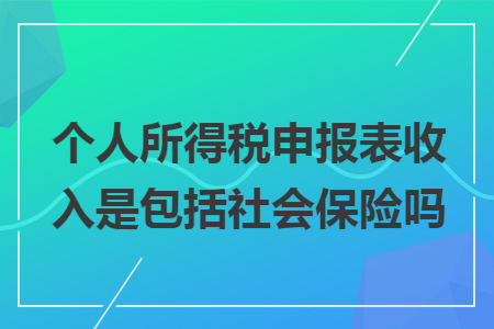 个人所得税申报表收入是包括社会保险吗