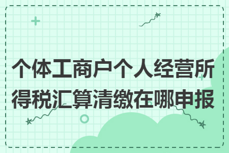 个体工商户个人经营所得税汇算清缴在哪申报