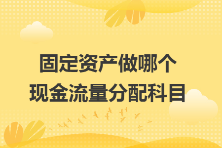 固定资产做哪个现金流量分配科目