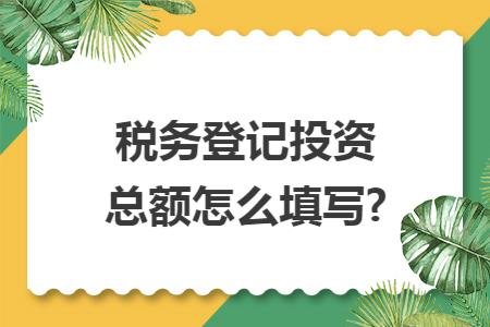 税务登记投资总额怎么填写?