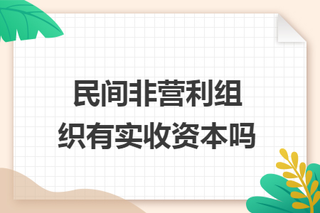 民间非营利组织有实收资本吗