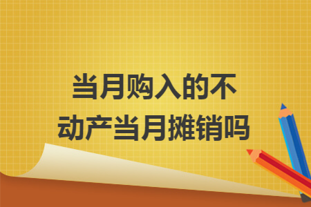 当月购入的不动产当月摊销吗