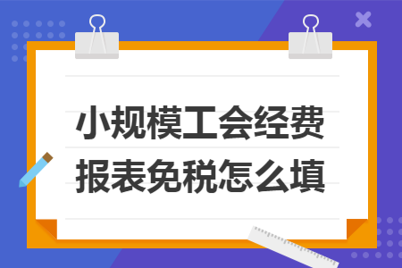 小规模工会经费报表免税怎么填
