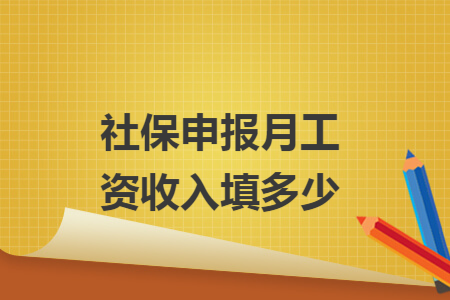 社保申报月工资收入填多少