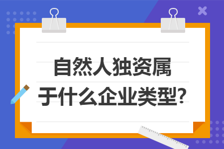 67自然人独资属于什么企业类型