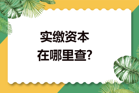 实缴资本在哪里查?