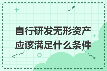 自行研发无形资产应该满足什么条件