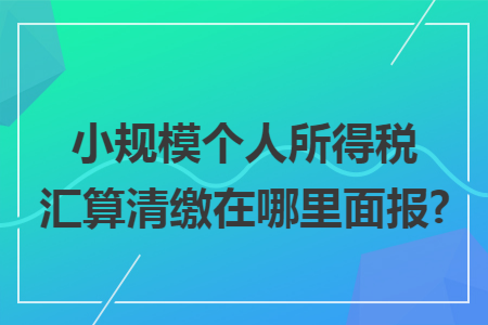 小规模个人所得税汇算清缴在哪里面报?