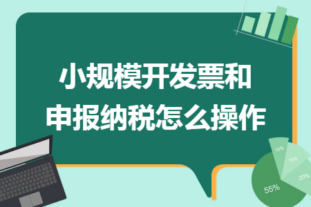 小规模开发票和申报纳税怎么操作