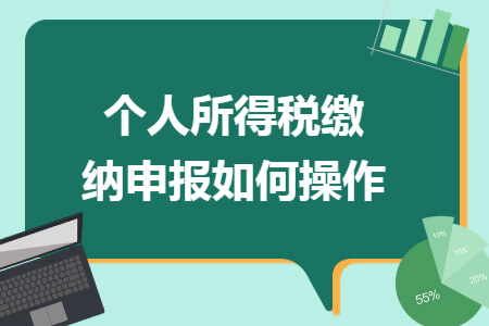个人所得税缴纳申报如何操作