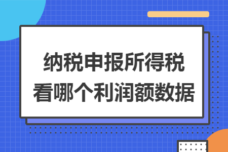 纳税申报所得税看哪个利润额数据