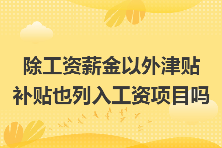 除工资薪金以外津贴补贴也列入工资项目吗
