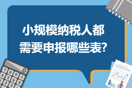 小规模纳税人都需要申报哪些表?