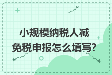 小规模纳税人减免税申报怎么填写?