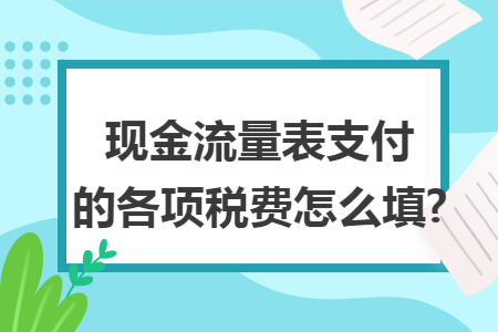 现金流量表支付的各项税费怎么填?