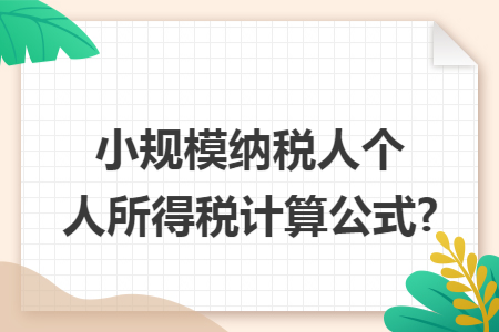 小规模纳税人个人所得税计算公式?
