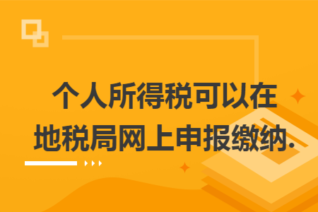 个人所得税可以在地税局网上申报缴纳.