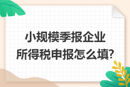 小规模季报企业所得税申报怎么填?