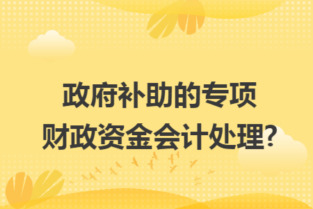 政府补助的专项财政资金会计处理?