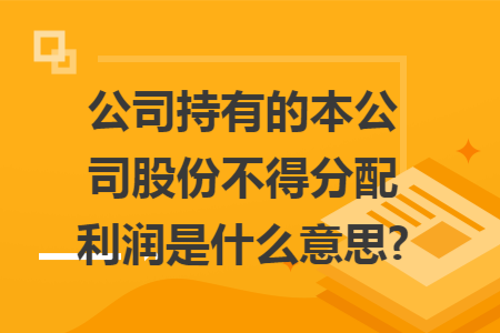 公司持有的本公司股份不得分配利润是什么意思?
