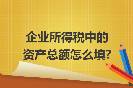 企业所得税中的资产总额怎么填?