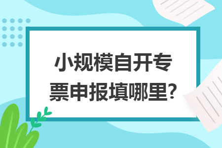 小规模自开专票申报填哪里?