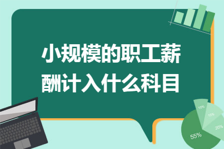 小规模的职工薪酬计入什么科目