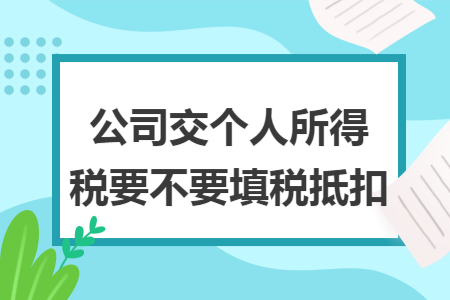 公司交个人所得税要不要填税抵扣