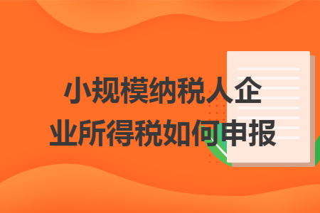小规模纳税人企业所得税如何申报