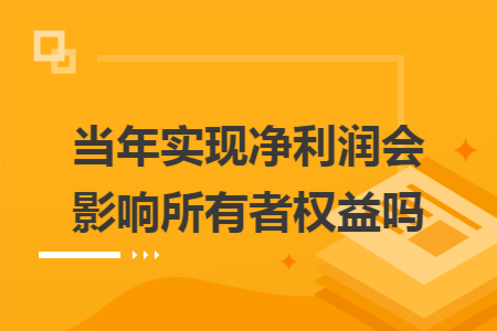 当年实现净利润会影响所有者权益吗