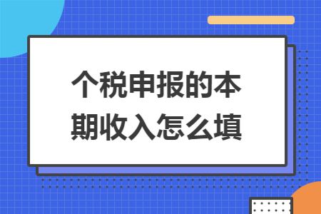 个税申报的本期收入怎么填