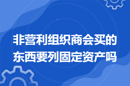 非营利组织商会买的东西要列固定资产吗
