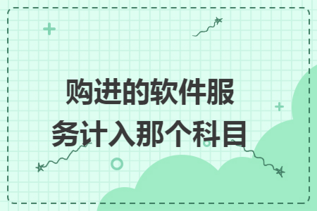 购进的软件服务计入那个科目