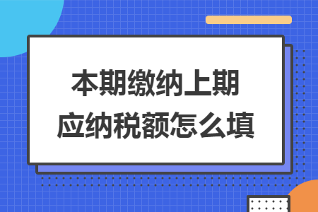 本期缴纳上期应纳税额怎么填