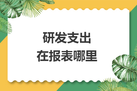 研发支出在报表哪里